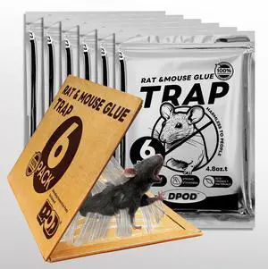 Glue Mouse Traps Indoor for Home 6 Pack, Large Sticky Mouse Traps for Inside House, Pre-Baited Adhesive Non-Toxic Glue Traps for Mice Rats, Snakes, Lizard, Insect(13.5" x 8.5") Glue Mouse Traps Indoor for Home 6 Pack, Large Sticky Mouse Traps for Inside House, Pre-Baited Adhesive Non-Toxic Glue Traps for Mice Rats, Snakes, Lizard, Insect(13.5" x 8.5")