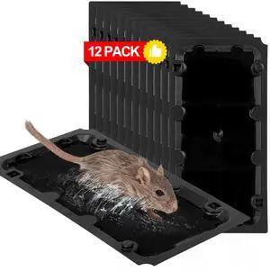 12 Pack Sticky Mouse Trap Rat Traps Indoor, Peanut Taste Pheromone Mouse Traps Indoor for Home, Glue Sticky Traps for Mice and Rats, Snake 12 Pack Sticky Mouse Trap Rat Traps Indoor, Peanut Taste Pheromone Mouse Traps Indoor for Home, Glue Sticky Traps for Mice and Rats, Snake