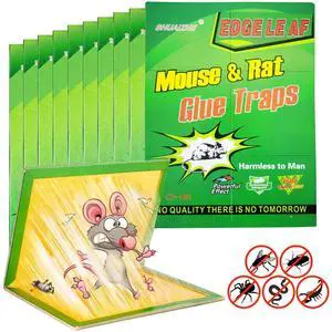 10 Pack Large Mouse Glue Traps with Enhanced Stickiness Glue Traps for Rat, Rodent and Household Traps Sticky Pad Board for House Indoor 10 Pack Large Mouse Glue Traps with Enhanced Stickiness Glue Traps for Rat, Rodent and Household Traps Sticky Pad Board for House Indoor