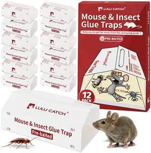 Mouse Traps, 12 Pack Pre-Baited Sticky Mouse Traps Indoor for Home, Foldable Non-Toxic Bulk Sticky Pads, Glue Traps for Rats, Bugs, Spider, Mice, Cockroach, Pet Safe, Easy to Use Mouse Traps, 12 Pack Pre-Baited Sticky Mouse Traps Indoor for Home, Foldable Non-Toxic Bulk Sticky Pads, Glue Traps for Rats, Bugs, Spider, Mice, Cockroach, Pet Safe, Easy to Use