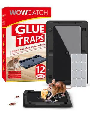 Sticky Mouse Traps Indoor for Home - 12 Pack Glue Traps for Roaches, Spider, Lizard, Rodent Catcher for Kitchen, Garage, Glue Boards for Insects, Pet Safe Pest Control, Non-Toxic, Small Size Sticky Mouse Traps Indoor for Home - 12 Pack Glue Traps for Roaches, Spider, Lizard, Rodent Catcher for Kitchen, Garage, Glue Boards for Insects, Pet Safe Pest Control, Non-Toxic, Small Size
