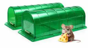 Humane Mouse Trap Indoor for Home, Live Catch and Release Rat Trap with Ventilated Chamber, 2 Pack Reusable No Kill Mice Trap Outdoor, Color: Green Humane Mouse Trap Indoor for Home, Live Catch and Release Rat Trap with Ventilated Chamber, 2 Pack Reusable No Kill Mice Trap Outdoor, Color: Green