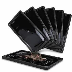 6 Pack Mouse Traps Indoor for Home, Large Glue Traps for Mice and Rats 6 Pack Mouse Traps Indoor for Home, Large Glue Traps for Mice and Rats