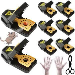 Mouse Traps Humane Mouse Traps Humane