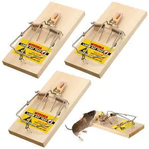 Pack Large Wooden Mouse Traps, Heavy Duty Rat Snap Traps with Metal Pedal, Sturdy Reusable Mousetraps for Fast Capture of Large Rats & Rodents, Safe for Indoor & Outdoor Use Pack Large Wooden Mouse Traps, Heavy Duty Rat Snap Traps with Metal Pedal, Sturdy Reusable Mousetraps for Fast Capture of Large Rats & Rodents, Safe for Indoor & Outdoor Use