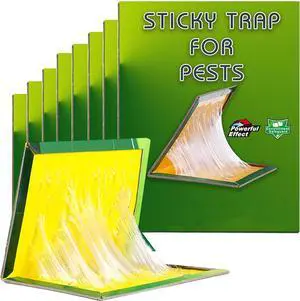 Mouse Traps,10 Pack RatTraps,Mouse Glue Board,Glue Boards Professional Strength that Work Capturing Indoor and Outdoor Rat Mouse Traps,10 Pack RatTraps,Mouse Glue Board,Glue Boards Professional Strength that Work Capturing Indoor and Outdoor Rat