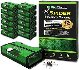 Spider + Insect Traps (12 pcs Box Trap) | Non-Toxic Extra Sticky Glue Traps, Kill Black Widow Hobo Brown Recluse Spiders and Other Crawling Bugs & Insects | Spider + Insect Traps (12 pcs Box Trap) | Non-Toxic Extra Sticky Glue Traps, Kill Black Widow Hobo Brown Recluse Spiders and Other Crawling Bugs & Insects |