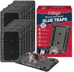 Glue Mouse Traps Indoor for Home -12 Pack Sticky MouseTraps Indoor for Safe Home Pest Control. Pre-Scented, Non-Toxic Glue Boards for Mice, Mouse & & Insects. Easy to Use Glue Mouse Traps Indoor for Home -12 Pack Sticky MouseTraps Indoor for Safe Home Pest Control. Pre-Scented, Non-Toxic Glue Boards for Mice, Mouse & & Insects. Easy to Use