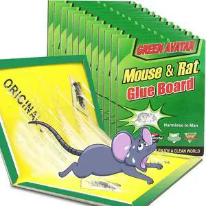 Pack Large Mouse Glue Traps with Enhanced Stickiness, Rat Snake Sticky Pad Board for House Indoor Outdoor, Easy to Set, Extra Large (8.3" x 12") Pack Large Mouse Glue Traps with Enhanced Stickiness, Rat Snake Sticky Pad Board for House Indoor Outdoor, Easy to Set, Extra Large (8.3" x 12")