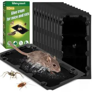 10 Pack Sticky Mouse Trap Rat Trap Indoor, Peanut Taste Pheromone Mouse Traps Indoor for Home, Glue Sticky Traps for Mice and Rats, Snake(Large Size) 10 Pack Sticky Mouse Trap Rat Trap Indoor, Peanut Taste Pheromone Mouse Traps Indoor for Home, Glue Sticky Traps for Mice and Rats, Snake(Large Size)