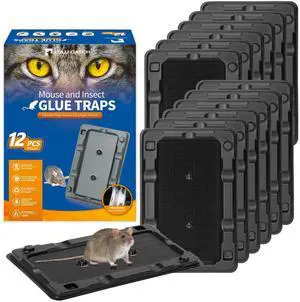 Mouse Traps, 12 Pack Sticky Mouse Traps Indoor for Home, Pre-Baited Non-Toxic Bulk Glue Traps for Rats, Mice, Roach, Lizards, Pet Safe for Home & Garage, Easy to Use Mouse Traps, 12 Pack Sticky Mouse Traps Indoor for Home, Pre-Baited Non-Toxic Bulk Glue Traps for Rats, Mice, Roach, Lizards, Pet Safe for Home & Garage, Easy to Use