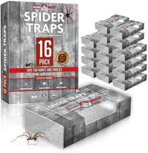 Spider Catcher Insect Traps Indoor - Spider Traps Indoor Bug Traps Sticky Spiders - Pre Baited Ultra Sticky Insect Glue Traps - Trap a Pest Spider Catcher Insect Traps Indoor - Spider Traps Indoor Bug Traps Sticky Spiders - Pre Baited Ultra Sticky Insect Glue Traps - Trap a Pest