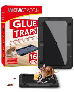 Sticky Mouse Traps Indoor for Home - 16 Pack Glue Traps for Mice, Roaches, Rodent Catcher for Kitchen,Garage, Sticky Glue Boards for Insects, Pet Safe Pest Control, Non-Toxic, Small Size Sticky Mouse Traps Indoor for Home - 16 Pack Glue Traps for Mice, Roaches, Rodent Catcher for Kitchen,Garage, Sticky Glue Boards for Insects, Pet Safe Pest Control, Non-Toxic, Small Size