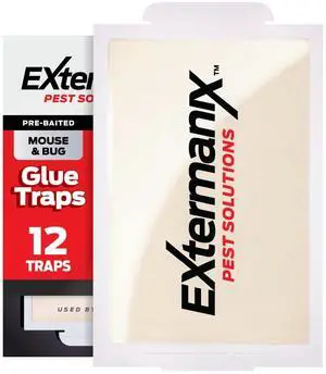Glue Traps for Mice & Bugs Safe Around Children & Pets Strong Adhesive Glue for Bugs, Insects & Cockroaches Easy to Use & Clean Sticky Glue Traps for Indoor Use (12 Pack) Glue Traps for Mice & Bugs Safe Around Children & Pets Strong Adhesive Glue for Bugs, Insects & Cockroaches Easy to Use & Clean Sticky Glue Traps for Indoor Use (12 Pack)