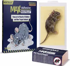 15 Pack Glue Traps for Mice, Mouse Glue Traps Indoor for Home, Sticky Mouse Traps, Glue Boards for Mice, Bed Bugs, Spiders, Cockroaches, No-Mess Traps for Garage, Basement & Attic 15 Pack Glue Traps for Mice, Mouse Glue Traps Indoor for Home, Sticky Mouse Traps, Glue Boards for Mice, Bed Bugs, Spiders, Cockroaches, No-Mess Traps for Garage, Basement & Attic