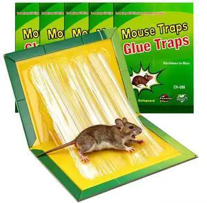 Mouse Traps,Rat Trap,Mice Traps for House,Mouse Traps for Indoor Home,Small Mice Catchers for Home,Glue can Catch All Kinds of Rodent Mouse Suitable for Indoor and Outdoor Mouse Traps,Rat Trap,Mice Traps for House,Mouse Traps for Indoor Home,Small Mice Catchers for Home,Glue can Catch All Kinds of Rodent Mouse Suitable for Indoor and Outdoor