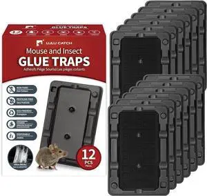 Mouse & Insect Traps 12 Pack, Heavier Sticky Traps with Non-Toxic Glue for Small Mice & Insects. Sticky Mouse Traps Indoor for Home, Easy to Set Mouse & Insect Traps 12 Pack, Heavier Sticky Traps with Non-Toxic Glue for Small Mice & Insects. Sticky Mouse Traps Indoor for Home, Easy to Set