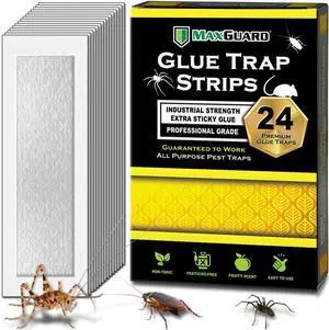 Glue Trap Strips (24 Traps) Non-Toxic Extra Sticky Glue Board Pre-Baited with Fruity Scent Attractant Trap & Kill Insects, Bugs, Spiders, Crickets, Scorpions, Cockroaches, Centipedes, Mice Glue Trap Strips (24 Traps) Non-Toxic Extra Sticky Glue Board Pre-Baited with Fruity Scent Attractant Trap & Kill Insects, Bugs, Spiders, Crickets, Scorpions, Cockroaches, Centipedes, Mice
