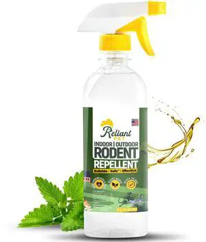 Peppermint Oil Spray for Rodents- 16oz Mice Repellent & Rat Deterrent Spray, Squirrel Repellent Indoor & Outdoor, Mint Spray for Rodents, Plant Based Peppermint Oil Spray for Rodents- 16oz Mice Repellent & Rat Deterrent Spray, Squirrel Repellent Indoor & Outdoor, Mint Spray for Rodents, Plant Based