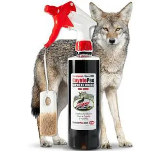 Coyote Urine with 10 ScentTags, Territorial Marking Scent Kit, Creates Predator Presence Illusion for Deer Raccoons Groundhogs Rats, Outdoor Yard Garden Perimeter Setup, 16 Oz Coyote Urine with 10 ScentTags, Territorial Marking Scent Kit, Creates Predator Presence Illusion for Deer Raccoons Groundhogs Rats, Outdoor Yard Garden Perimeter Setup, 16 Oz