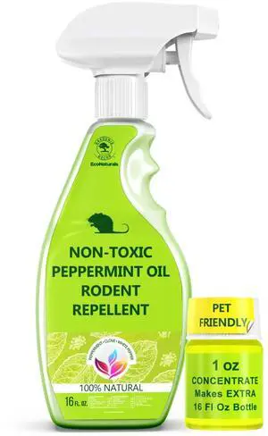 All Natural Peppermint Oil Spray Peppermint Oil Spray for Mice and Rats 2 Bottle Value All Natural Peppermint Oil Spray Peppermint Oil Spray for Mice and Rats 2 Bottle Value