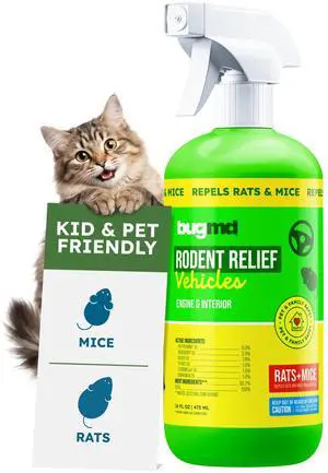 Rodent Repellent for Car Engines | Natural Peppermint Oil Spray to Repel Rats, Mice & Squirrels from Cars, RVs & Trucks Rodent Repellent for Car Engines | Natural Peppermint Oil Spray to Repel Rats, Mice & Squirrels from Cars, RVs & Trucks