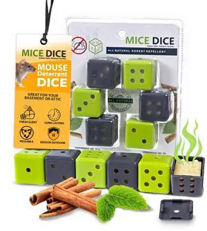 Peppermint Oil for Mice - Mice Dice Mouse Solution for Home and Outdoor Peppermint Oil for Mice - Mice Dice Mouse Solution for Home and Outdoor