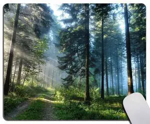 Rectangle Mouse Pad Misty Forest, Sunshine Trees Premium-Textured Custom Mouse Mat Design,Washable Mousepads Non-Slip Rubber Base Computer Mousepad Personalized for Wireless Mouse Rectangle Mouse Pad Misty Forest, Sunshine Trees Premium-Textured Custom Mouse Mat Design,Washable Mousepads Non-Slip Rubber Base Computer Mousepad Personalized for Wireless Mouse