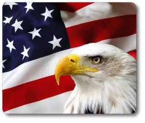 Non-Slip Rubber Mousepad Eagle on American Flag Mouse Pad Non-Slip Rubber Mousepad Eagle on American Flag Mouse Pad