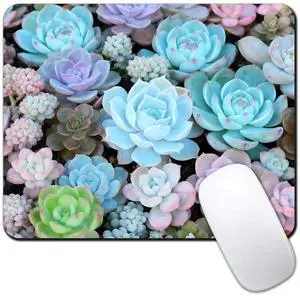 Computer Mouse Pads for Desk, Cute Succulents Plant Mouse Pad Small Square Computer Mousepad, 9.5" x 7.9" Portable Non-Slip Rubber Base Design for PC & Wireless Laptop Home Office Computer Mouse Pads for Desk, Cute Succulents Plant Mouse Pad Small Square Computer Mousepad, 9.5" x 7.9" Portable Non-Slip Rubber Base Design for PC & Wireless Laptop Home Office