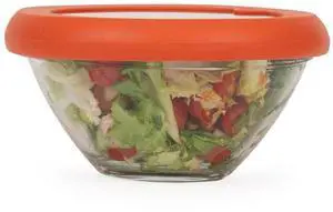 Replacement Lids for Glass Storage Containers | Silicone & Glass Lids that Dont Crack | Fits Most Round Container Brands & Bowls | 100% Plastic Free (1 Lid (Medium), Terracotta) Replacement Lids for Glass Storage Containers | Silicone & Glass Lids that Dont Crack | Fits Most Round Container Brands & Bowls | 100% Plastic Free (1 Lid (Medium), Terracotta)