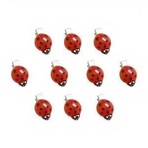 10 Pcs Fun Ladybug Hair Clips Funky Insect Bug Hair Clips for Teen Girls Women Cute Decorative Whimsical Accessories for Back to School Halloween Cosplay Themed Party 10 Pcs Fun Ladybug Hair Clips Funky Insect Bug Hair Clips for Teen Girls Women Cute Decorative Whimsical Accessories for Back to School Halloween Cosplay Themed Party