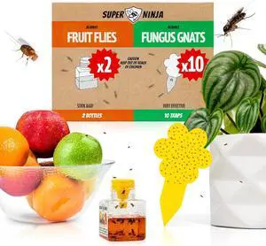 Gnat Traps for House Indoor - Fungus Gnat & Fruit Fly Traps - 10 Sticky Traps for Plants & 2 Highly Effective Fruit Fly Catchers for Indoors, Kid & Pet Friendly Gnat Traps for House Indoor - Fungus Gnat & Fruit Fly Traps - 10 Sticky Traps for Plants & 2 Highly Effective Fruit Fly Catchers for Indoors, Kid & Pet Friendly