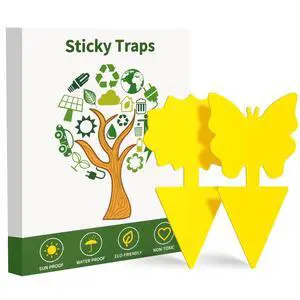 Fruit Fly Traps, 100 Pack Yellow Sticky Traps, Fungus Gnat Traps, Plant Fly Stickers for Indoor and Outdoor Use Protect The Plant Fruit Fly Traps, 100 Pack Yellow Sticky Traps, Fungus Gnat Traps, Plant Fly Stickers for Indoor and Outdoor Use Protect The Plant