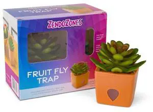 Succulent Fruit Fly Trap Dark Green Design with Terracotta Base Eco-Friendly Indoor Fruit Fly Control Easy-to-Use Decorative Trap Succulent Fruit Fly Trap Dark Green Design with Terracotta Base Eco-Friendly Indoor Fruit Fly Control Easy-to-Use Decorative Trap