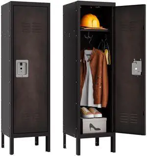 Vintage Metal Locker with Hooks,Lockable 1 Door Storage Locker,Retro Black Single Lockers for Employees,Steel Locker for Home, Office,Gym,Old School Lockers Storage Vintage Metal Locker with Hooks,Lockable 1 Door Storage Locker,Retro Black Single Lockers for Employees,Steel Locker for Home, Office,Gym,Old School Lockers Storage