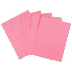 Brights Colored Paper 8 1/2-Inch x 11-Inch Pink Ream 500/Ream, For Office, School & Home | Vivid multipurpose paper for office, school & home printing and projects Brights Colored Paper 8 1/2-Inch x 11-Inch Pink Ream 500/Ream, For Office, School & Home | Vivid multipurpose paper for office, school & home printing and projects