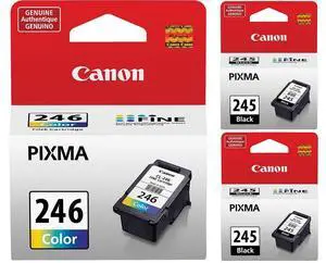 Genuine PG-245 Black Ink Cartridge - 2 Pieces (8279B001) CL-246 Color Ink Cartridge (8281B001) Genuine PG-245 Black Ink Cartridge - 2 Pieces (8279B001) CL-246 Color Ink Cartridge (8281B001)