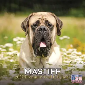 Mastiff Calendar 2026-2027, 16-Month 12x12 Wall Calendar | 2026-2027 Calendar, Dog Lover Gift, Made in USA, Thick 100# No-Bleed Paper, Large Writing Blocks, 12x12, US Holidays Mastiff Calendar 2026-2027, 16-Month 12x12 Wall Calendar | 2026-2027 Calendar, Dog Lover Gift, Made in USA, Thick 100# No-Bleed Paper, Large Writing Blocks, 12x12, US Holidays