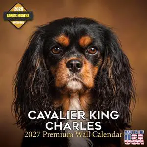 Cavalier King Charles Calendar 2026-2027, 16-Month 12x12 Wall Calendar | 2026-2027 Calendar, Dog Lover Gift, Made in USA, Thick 100# No-Bleed Paper, Large Writing Blocks, 12x12, US Holidays Cavalier King Charles Calendar 2026-2027, 16-Month 12x12 Wall Calendar | 2026-2027 Calendar, Dog Lover Gift, Made in USA, Thick 100# No-Bleed Paper, Large Writing Blocks, 12x12, US Holidays