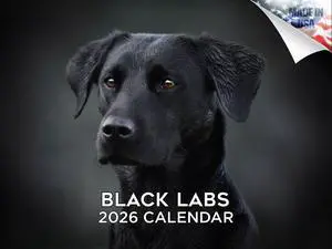 Black Lab Calendar 2026 2027 14-Month Labrador Retriever Wall Academic | Black Lab Dog Lover Gift, Thick 100# No-Bleed Paper, Large Writing Blocks, Made in USA, Puppy Photos, Teacher Gift Black Lab Calendar 2026 2027 14-Month Labrador Retriever Wall Academic | Black Lab Dog Lover Gift, Thick 100# No-Bleed Paper, Large Writing Blocks, Made in USA, Puppy Photos, Teacher Gift