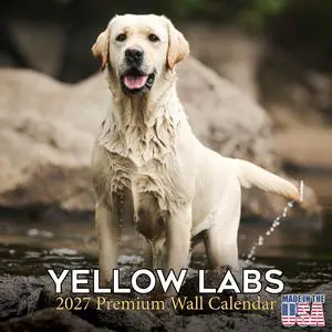 Labrador Retriever Yellow Calendar 2026-2027, 16-Month 12x12 Wall Calendar | 2026-2027 Calendar, Dog Lover Gift, Made in USA, Thick 100# No-Bleed Paper, Large Writing Blocks, 12x12, US Holidays Labrador Retriever Yellow Calendar 2026-2027, 16-Month 12x12 Wall Calendar | 2026-2027 Calendar, Dog Lover Gift, Made in USA, Thick 100# No-Bleed Paper, Large Writing Blocks, 12x12, US Holidays