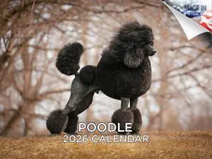 Poodle Calendar 2026 2027 14-Month Standard Poodle Wall Academic | Dog Lover Gift, Thick 100# No-Bleed Paper, Large Writing Blocks, Made in USA, Groomer Gift, Teacher Gift Poodle Calendar 2026 2027 14-Month Standard Poodle Wall Academic | Dog Lover Gift, Thick 100# No-Bleed Paper, Large Writing Blocks, Made in USA, Groomer Gift, Teacher Gift
