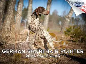 German Shorthaired Pointer Calendar 2026 2027 14-Month GSP Wall Academic | Dog Lover Gift, Thick 100# No-Bleed Paper, Large Writing Blocks, Made in USA, Bird Dog Decor, Teacher Gift German Shorthaired Pointer Calendar 2026 2027 14-Month GSP Wall Academic | Dog Lover Gift, Thick 100# No-Bleed Paper, Large Writing Blocks, Made in USA, Bird Dog Decor, Teacher Gift