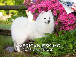 American Eskimo Dog Calendar 2026 2027 14-Month Eskie Wall Academic | Dog Lover Gift, Thick 100# No-Bleed Paper, Large Writing Blocks, Made in USA, Fluffy Dog Decor, Teacher Gift American Eskimo Dog Calendar 2026 2027 14-Month Eskie Wall Academic | Dog Lover Gift, Thick 100# No-Bleed Paper, Large Writing Blocks, Made in USA, Fluffy Dog Decor, Teacher Gift