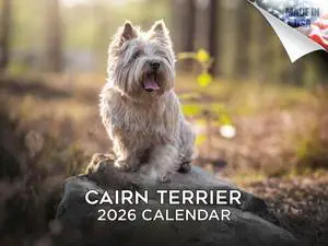Cairn Terrier Calendar 2026 2027 14 Month Wall Calendar | Dog Lover Gift, Thick 100# No-Bleed Paper, Large Writing Blocks, Made in USA, Small Terrier Decor, Teacher Gift Cairn Terrier Calendar 2026 2027 14 Month Wall Calendar | Dog Lover Gift, Thick 100# No-Bleed Paper, Large Writing Blocks, Made in USA, Small Terrier Decor, Teacher Gift