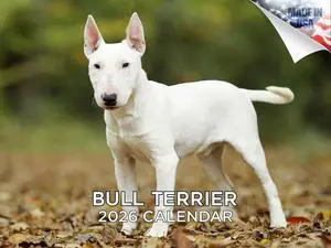 Bull Terrier Calendar 2026 2027 14 Month Wall Calendar | Dog Lover Gift, Thick 100# No-Bleed Paper, Large Writing Blocks, Made in USA, Bully Breed Decor, Teacher Gift Bull Terrier Calendar 2026 2027 14 Month Wall Calendar | Dog Lover Gift, Thick 100# No-Bleed Paper, Large Writing Blocks, Made in USA, Bully Breed Decor, Teacher Gift