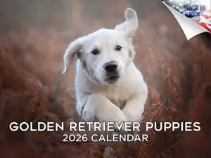 Golden Retriever Puppy Calendar 2026 2027 14 Month Wall Calendar | Dog Lover Gift, Thick 100# No-Bleed Paper, Large Writing Blocks, Made in USA, Puppy Photos, Teacher Gift Golden Retriever Puppy Calendar 2026 2027 14 Month Wall Calendar | Dog Lover Gift, Thick 100# No-Bleed Paper, Large Writing Blocks, Made in USA, Puppy Photos, Teacher Gift