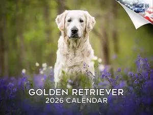 Golden Retriever Calendar 2026 2027 14 Month Wall Calendar | Dog Lover Gift, Thick 100# No-Bleed Paper, Large Writing Blocks, Made in USA, Golden Dog Decor, Teacher Gift Golden Retriever Calendar 2026 2027 14 Month Wall Calendar | Dog Lover Gift, Thick 100# No-Bleed Paper, Large Writing Blocks, Made in USA, Golden Dog Decor, Teacher Gift