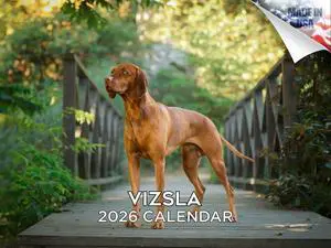 Vizsla Calendar 2026 2027 14 Month Wall Calendar | Dog Lover Gift, Thick 100# No-Bleed Paper, Large Writing Blocks, Made in USA, Hungarian Pointer Decor, Teacher Gift Vizsla Calendar 2026 2027 14 Month Wall Calendar | Dog Lover Gift, Thick 100# No-Bleed Paper, Large Writing Blocks, Made in USA, Hungarian Pointer Decor, Teacher Gift